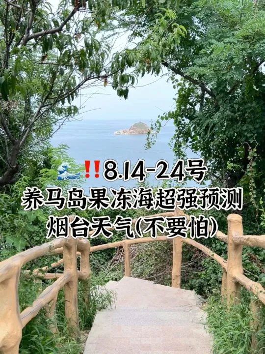 📍8.14-24号烟台养马岛果冻海超强预测
