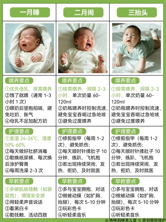 0-12月龄宝宝生长发育 喂养➕护理➕早教