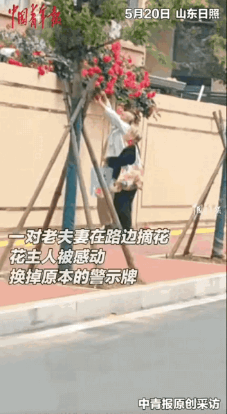 山东日照，女子养的花之前被人恶意采摘，于是在墙上立了个警示牌，但一次看到头发花白