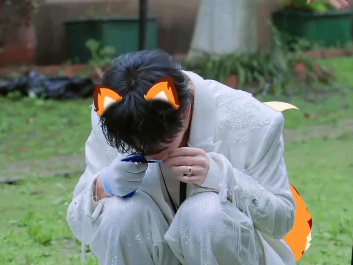 丁程鑫：一款很新颖的狐狸小狗狗