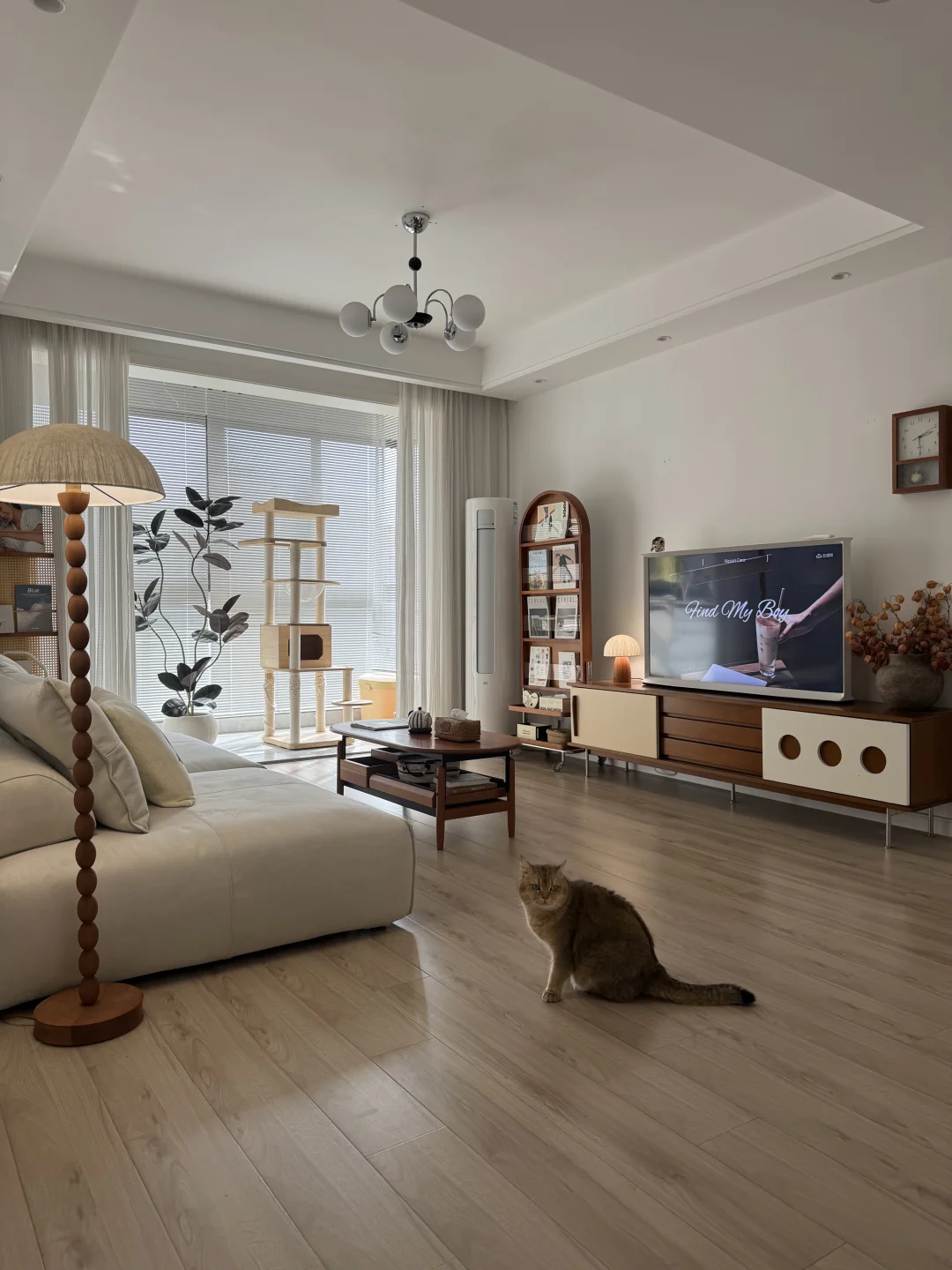 无滤镜70平的家，32岁独居也挺好✌🏻