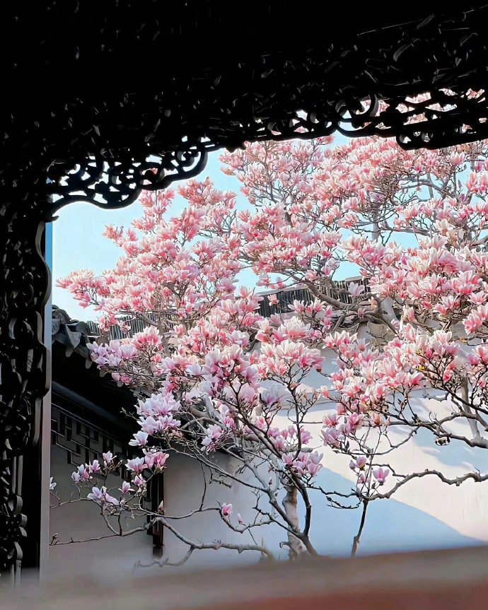 “人生总是柳暗花明” 