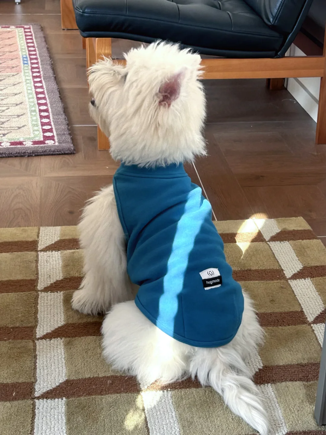 素色🎽确实百搭！