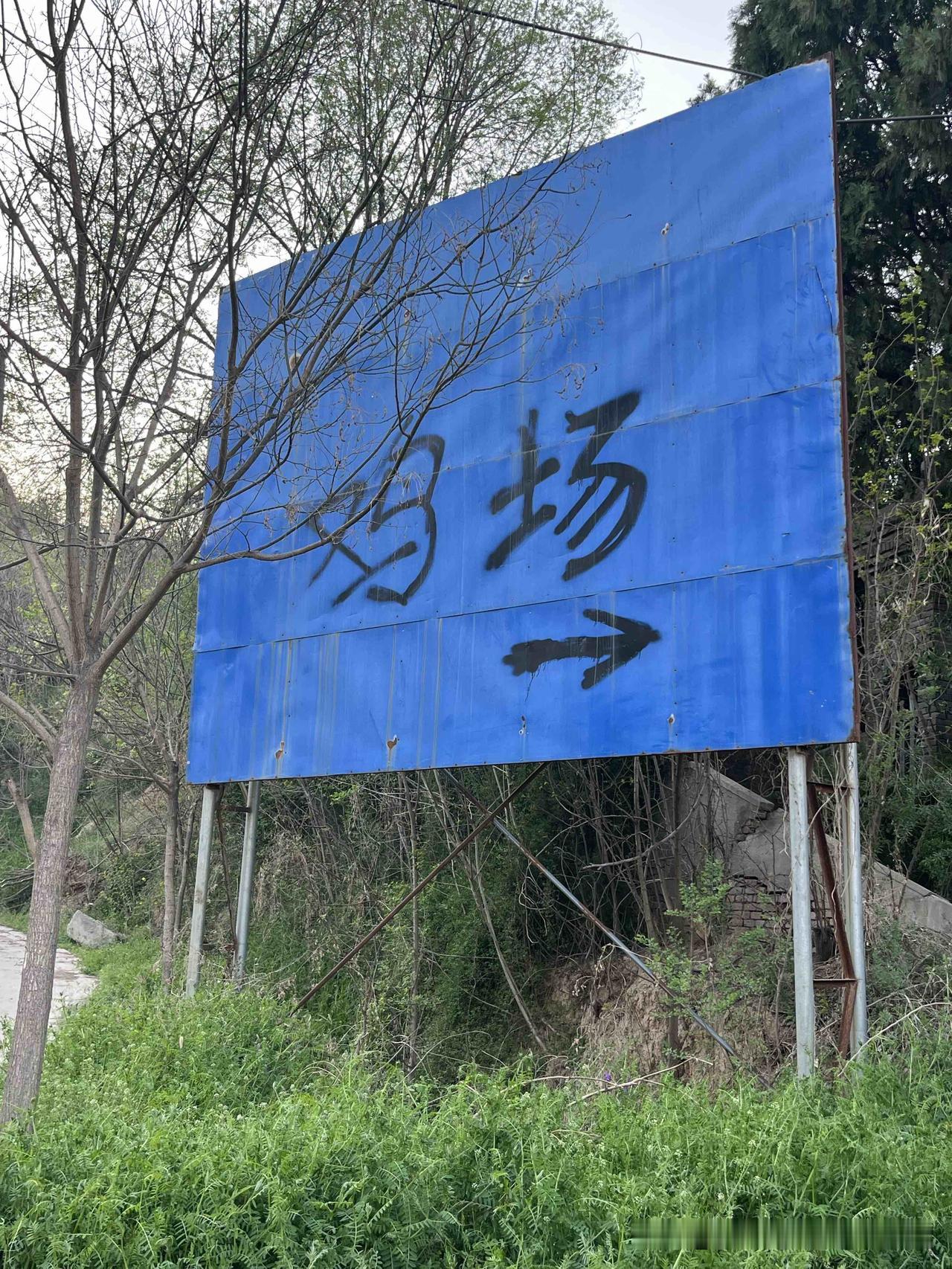 鸡场，必定是养鸡场，应当是一个面向市场销售的规模化养鸡场。不过，这样一个颇具规模