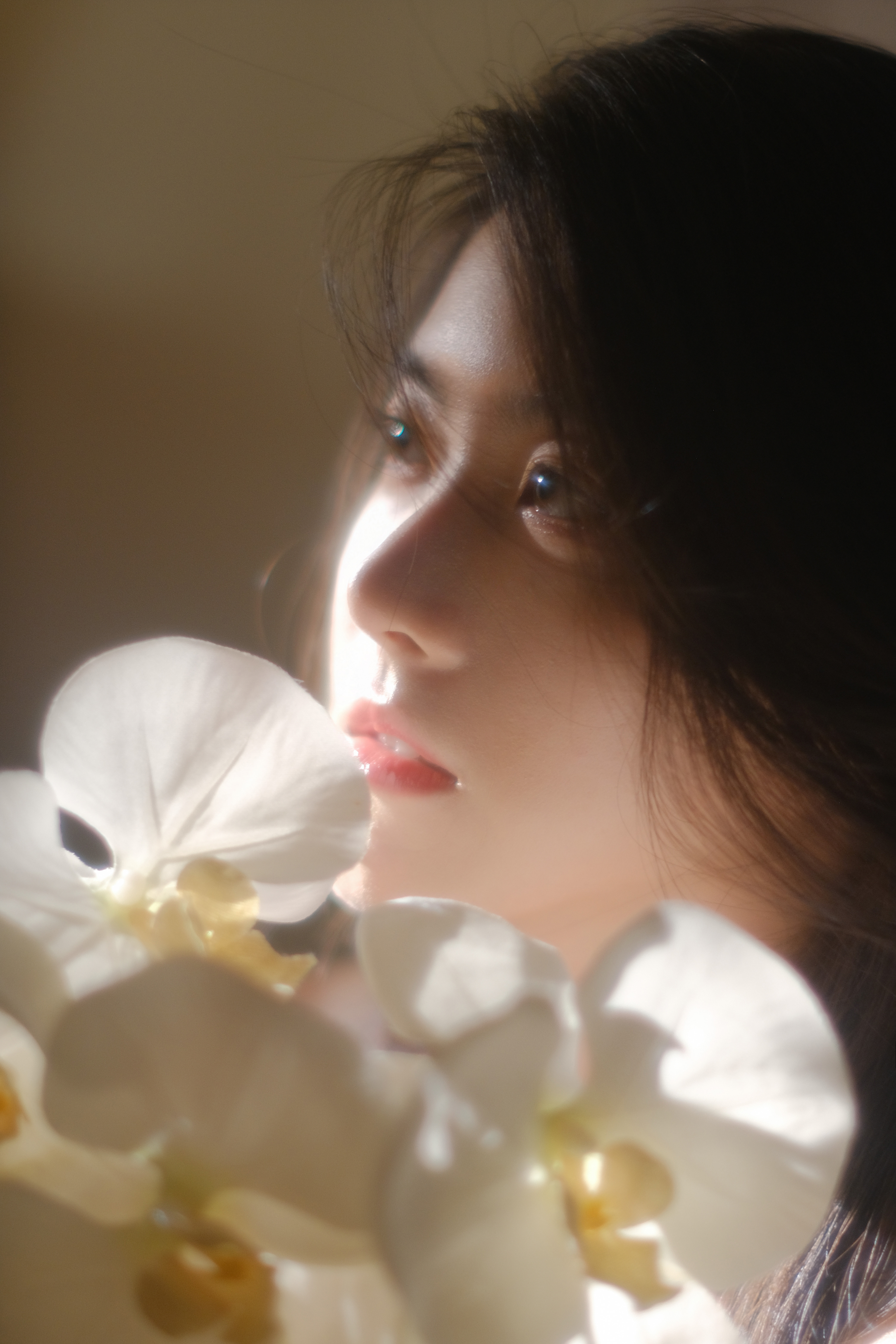 爱是神洒在她肩头的光✨ 