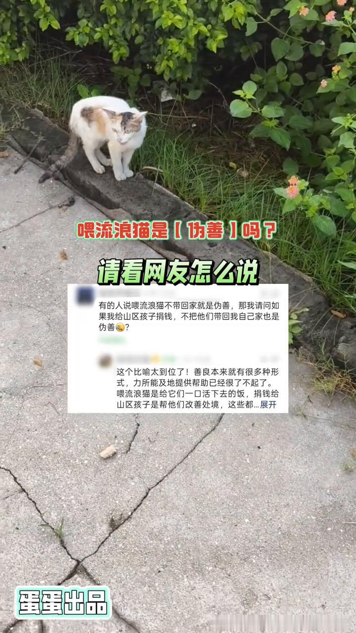 喂流浪猫是伪善吗？请看网友怎么说。
蛋蛋出品。
有的人说喂流浪猫不带回家就是伪善