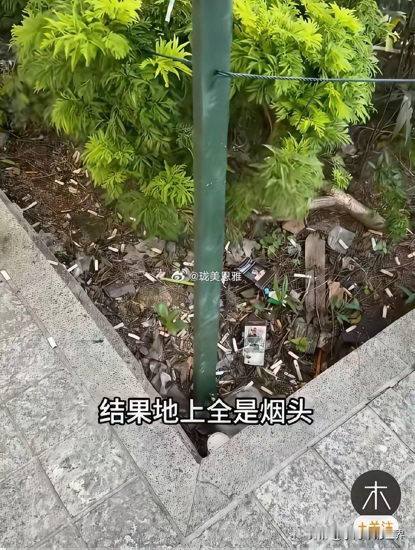 新加坡的法律管不了印度人？ 