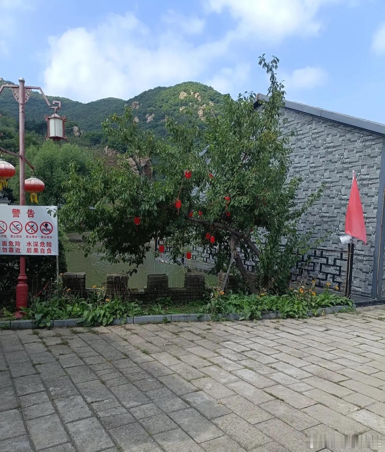 山西养老院院长殴打85岁老人事件曝光，85岁老人鼻青脸肿，身上多处伤痕。山西介休