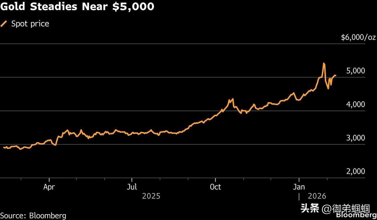 黄金价格在2026年呈现出剧烈波动特征：年初曾大幅上涨（累计涨幅超20%，一度突