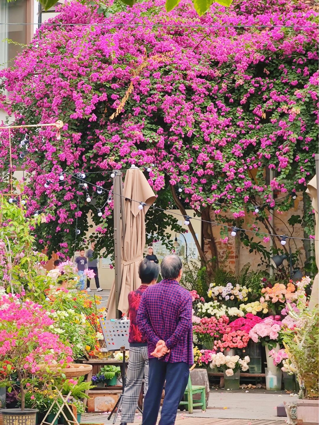 广州最美花店🌸开在古宅里，浪漫哭了❗