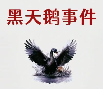 黑天鹅，黑马与灰犀牛的区别。

黑天鹅有极其罕见，不可预测的意思，指从来没发生过