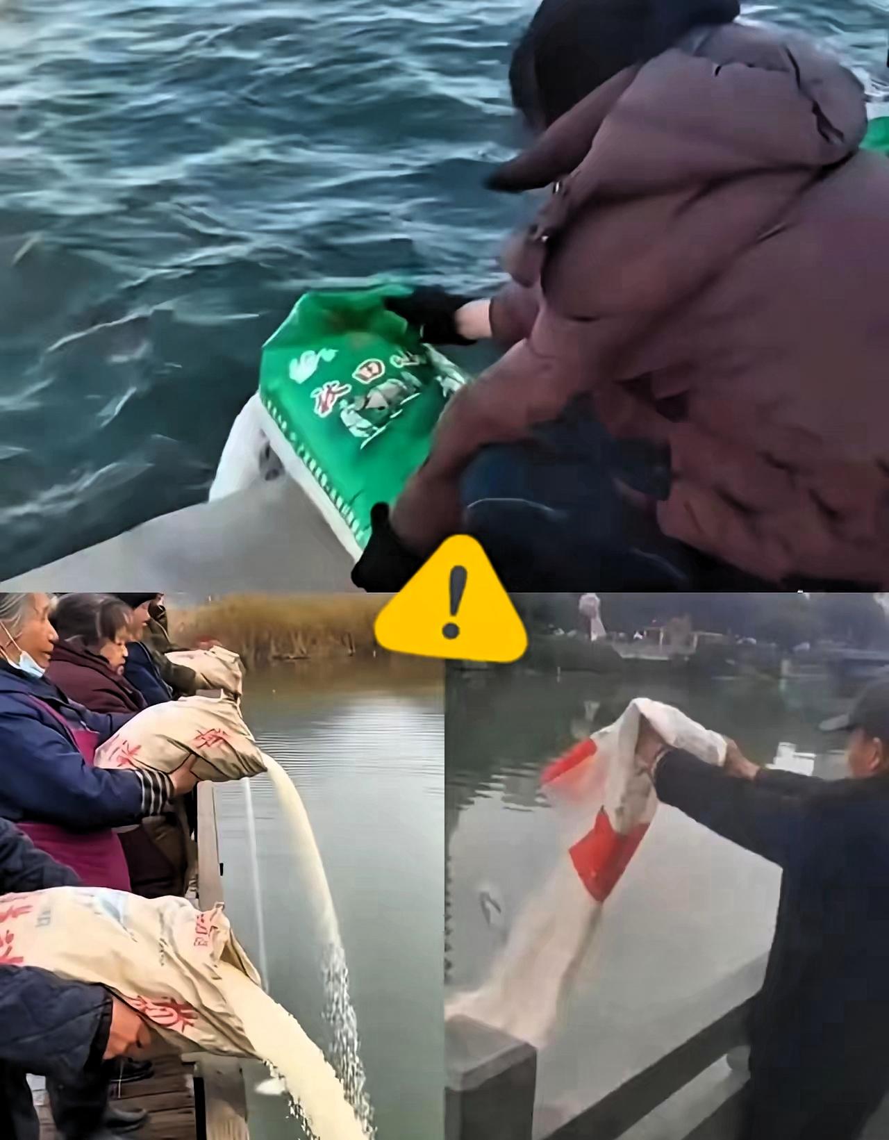 人就不能吃得太饱！辽宁葫芦岛多名老人往海里倒大米，一问才知是“放生大米”，边倒嘴