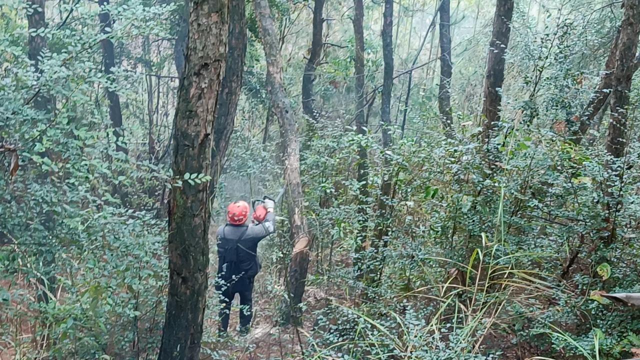 有人认出了铲石粉的人，家里在弄猪圈。
双手不健全，有只手没手掌。也许是正好缺一点