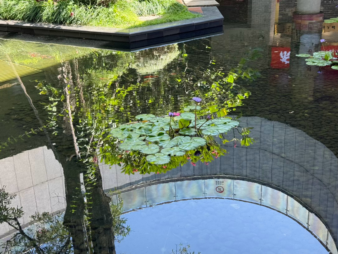 闪现