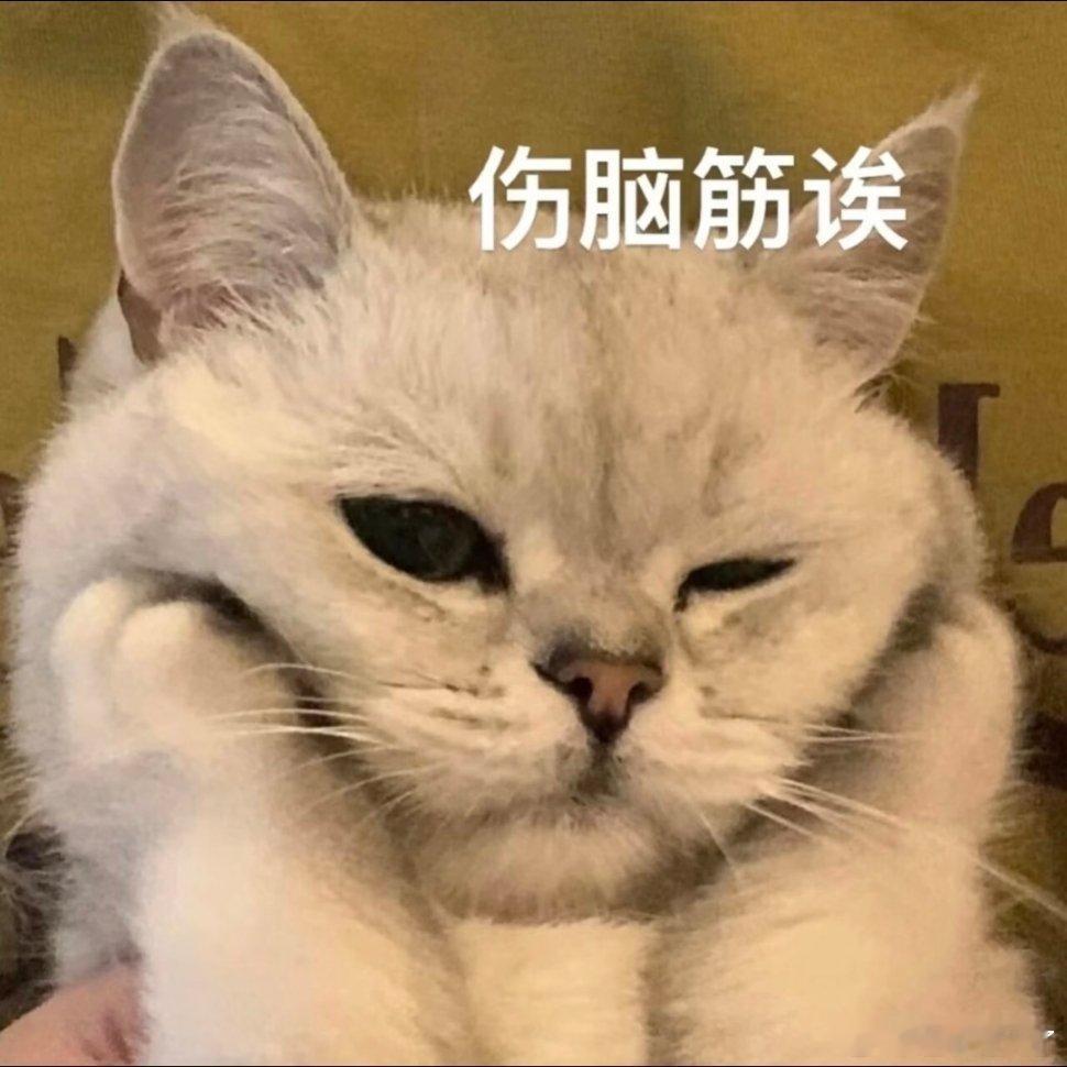 表情包|你有事吗新年迎喜番