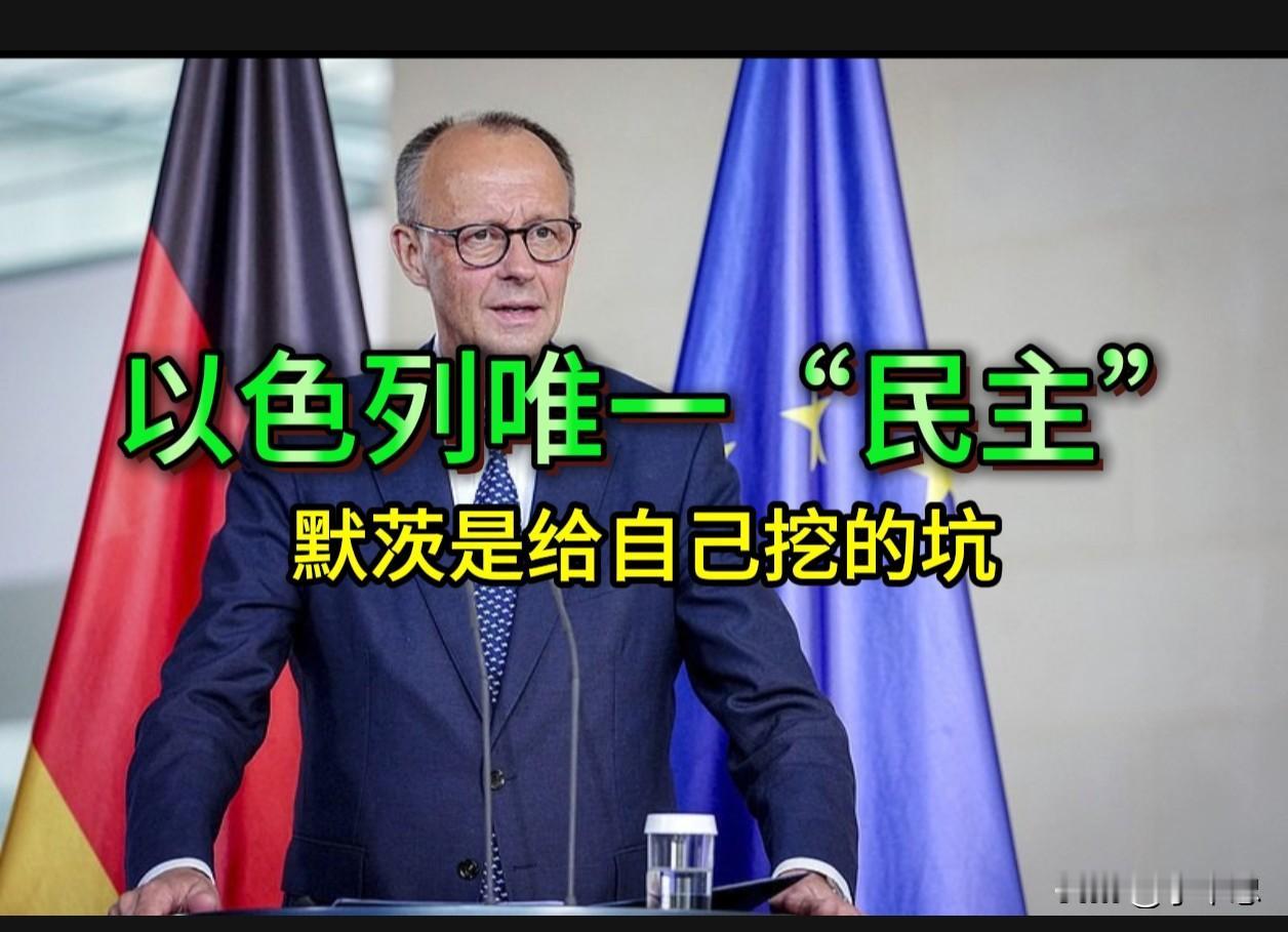"唯一民主"四个字，是德国给自己贴的金，也是给自己挖的坑

2026年8月30日