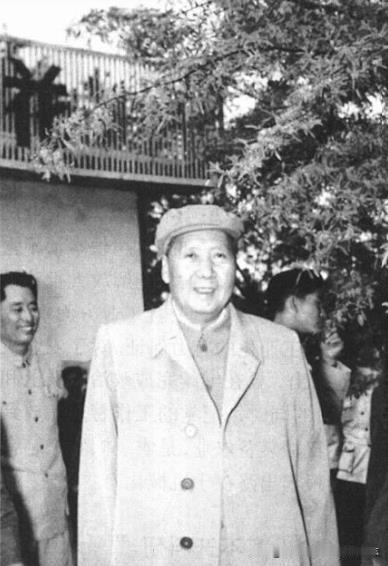 1960年5月4日下午，毛泽东在“香椿柳”下照相。