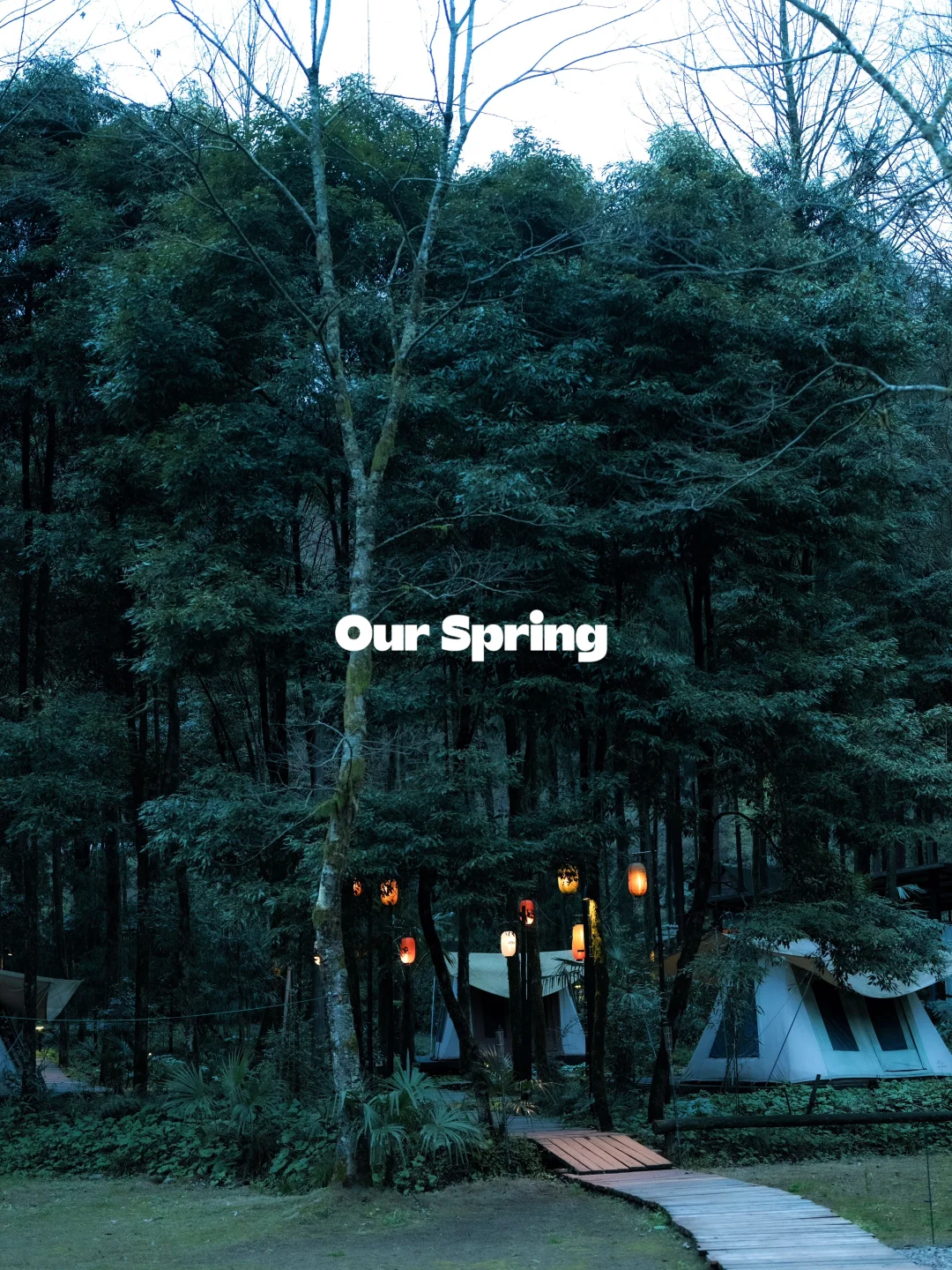 春假进山，把假期交给自然🌿