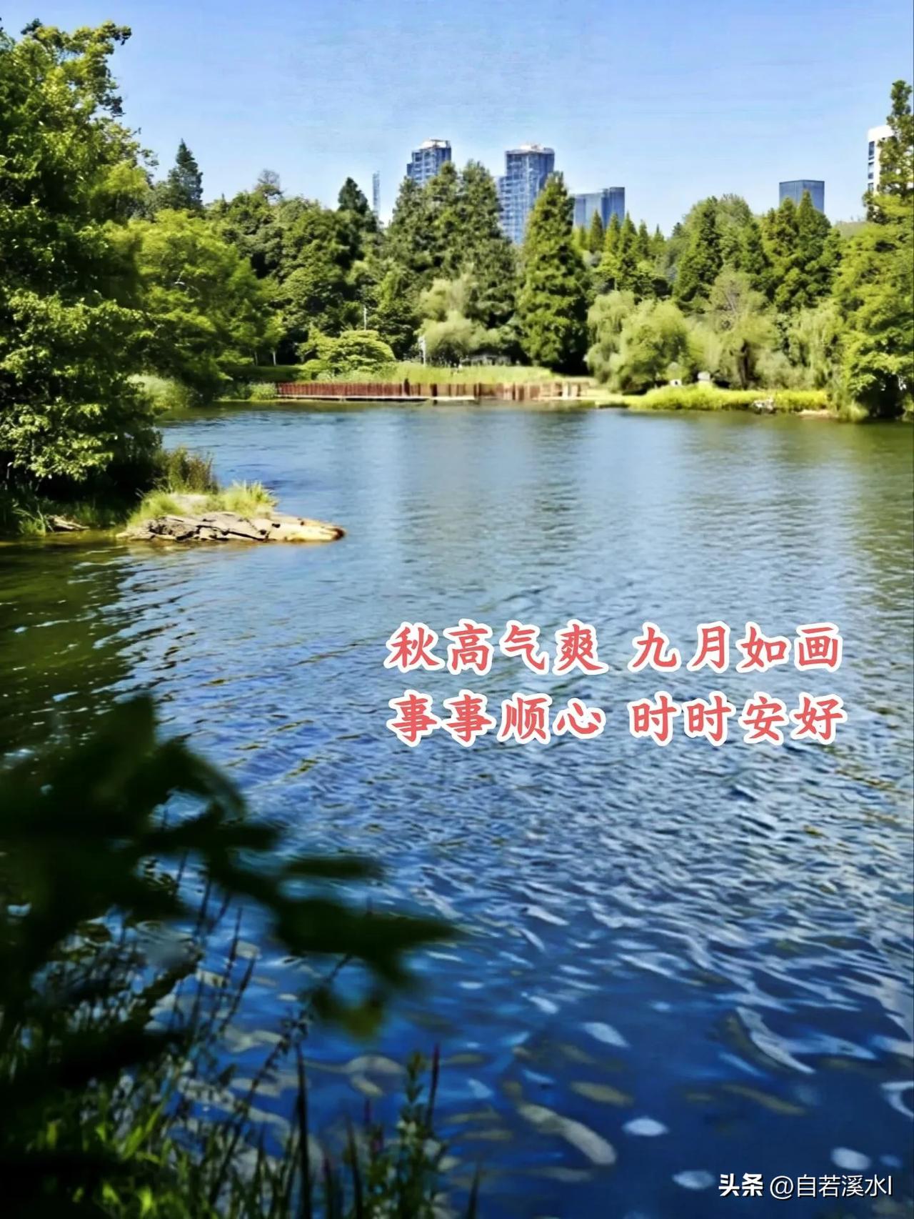 阳光洒落人间，愿身体多些舒坦，生活少些波折，岁岁平安，早安。
