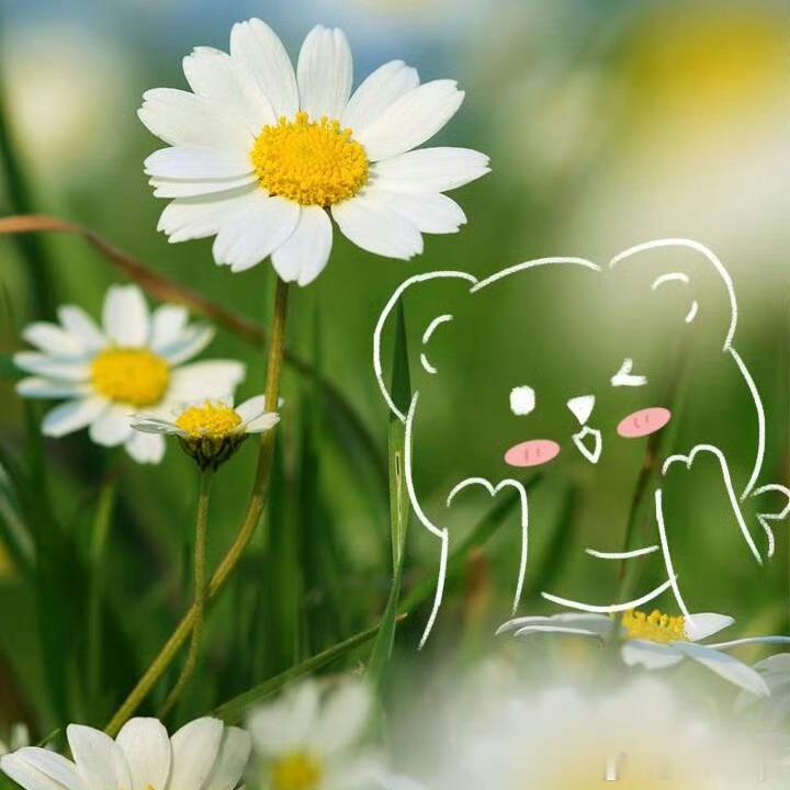 幸福是什么，幸福就是，人到中年有一个好身体，一个坏的记性，简单点，糊涂点，开心一