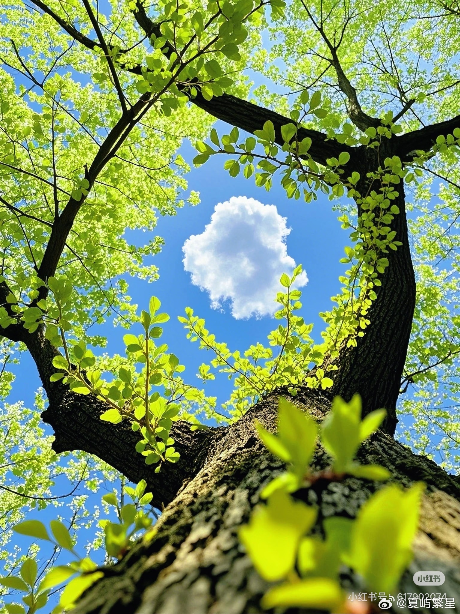 读书是见世面最快的方式我的私人宝藏书单书评 让心上的花，开在春天的风里“请允许我