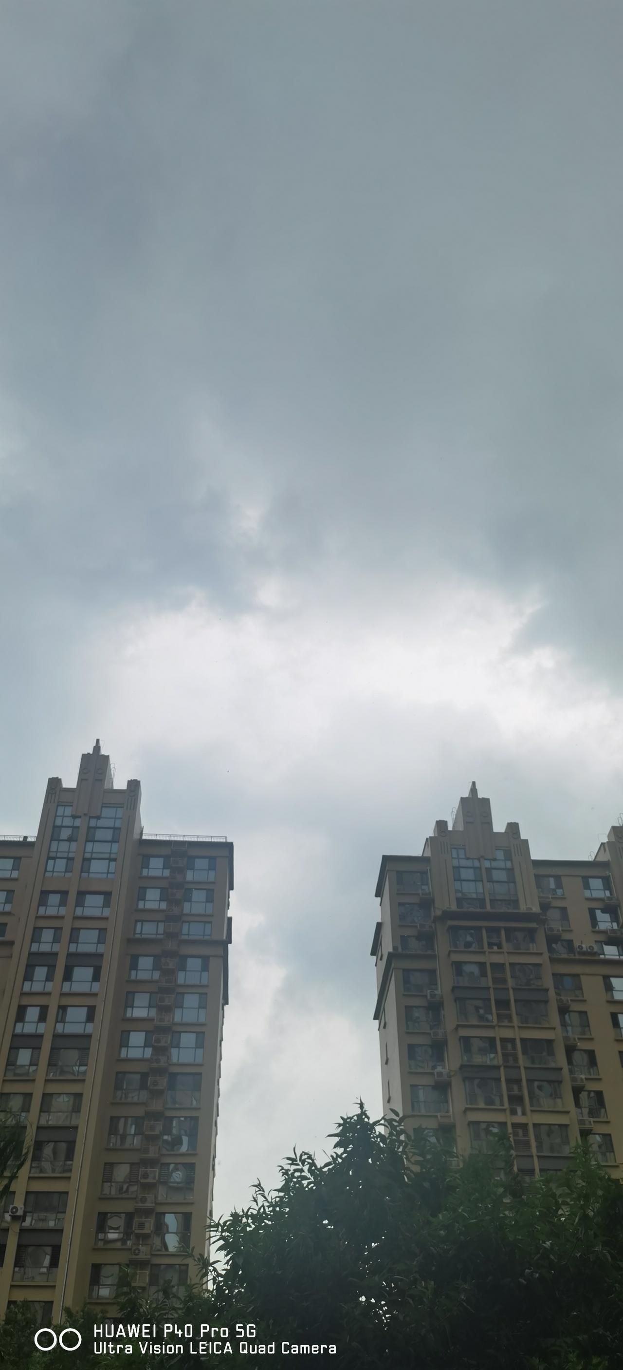 午后刮过一场风，乌云密布，预报说有雨，雨还真的来了，而且越下越大