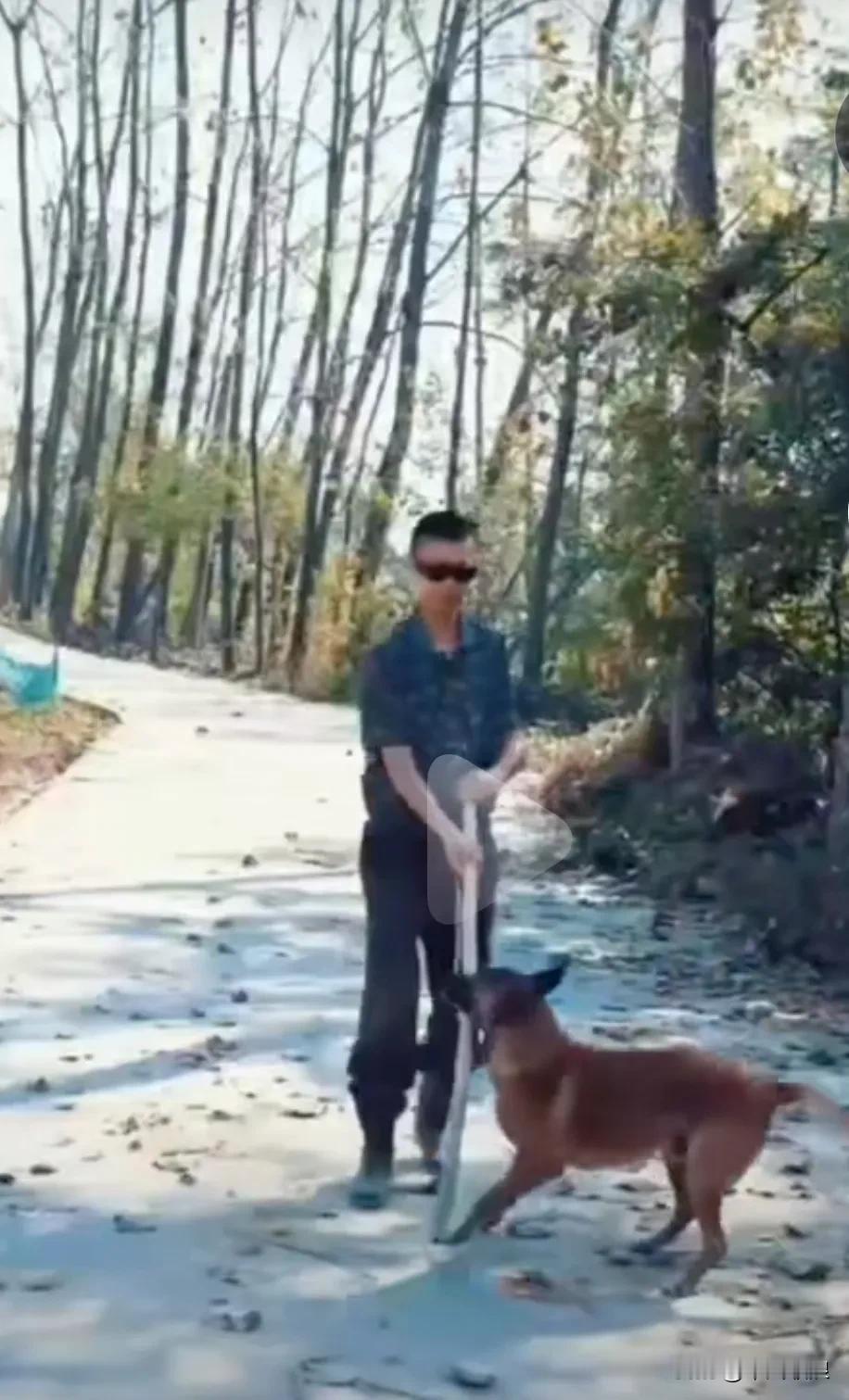在路上狗狗看见一个盲人，善良的狗狗帮他咬开路上树枝怕他会伴倒，盲人又进一步说道，