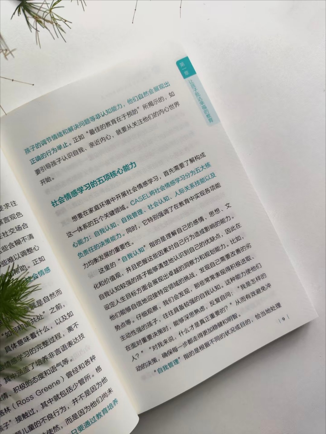 父母的远见——培养孩子获得幸福的能力 ​​​