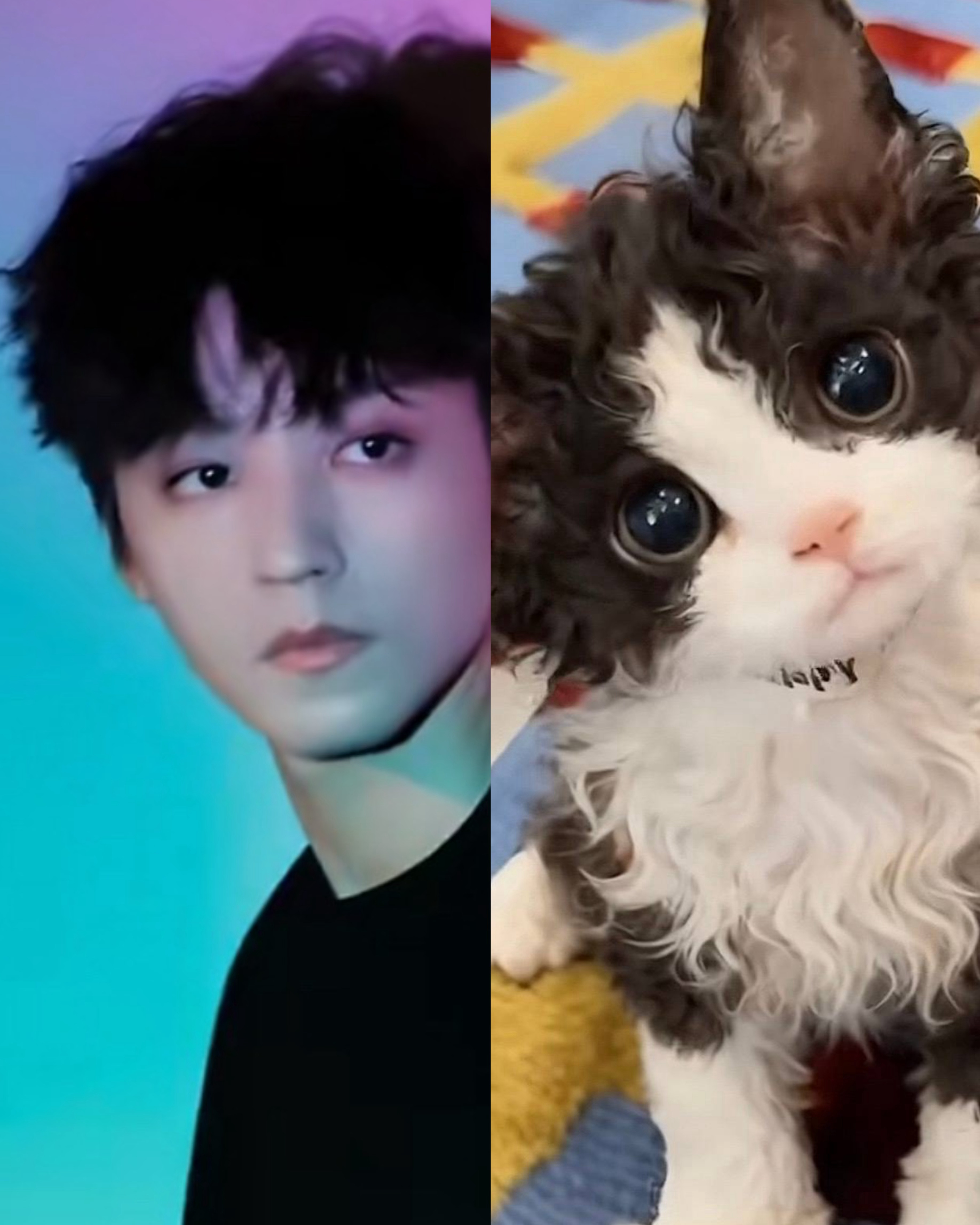 给我一个完美的解释，这刘海花色都一样王俊凯首张同名专辑WJK