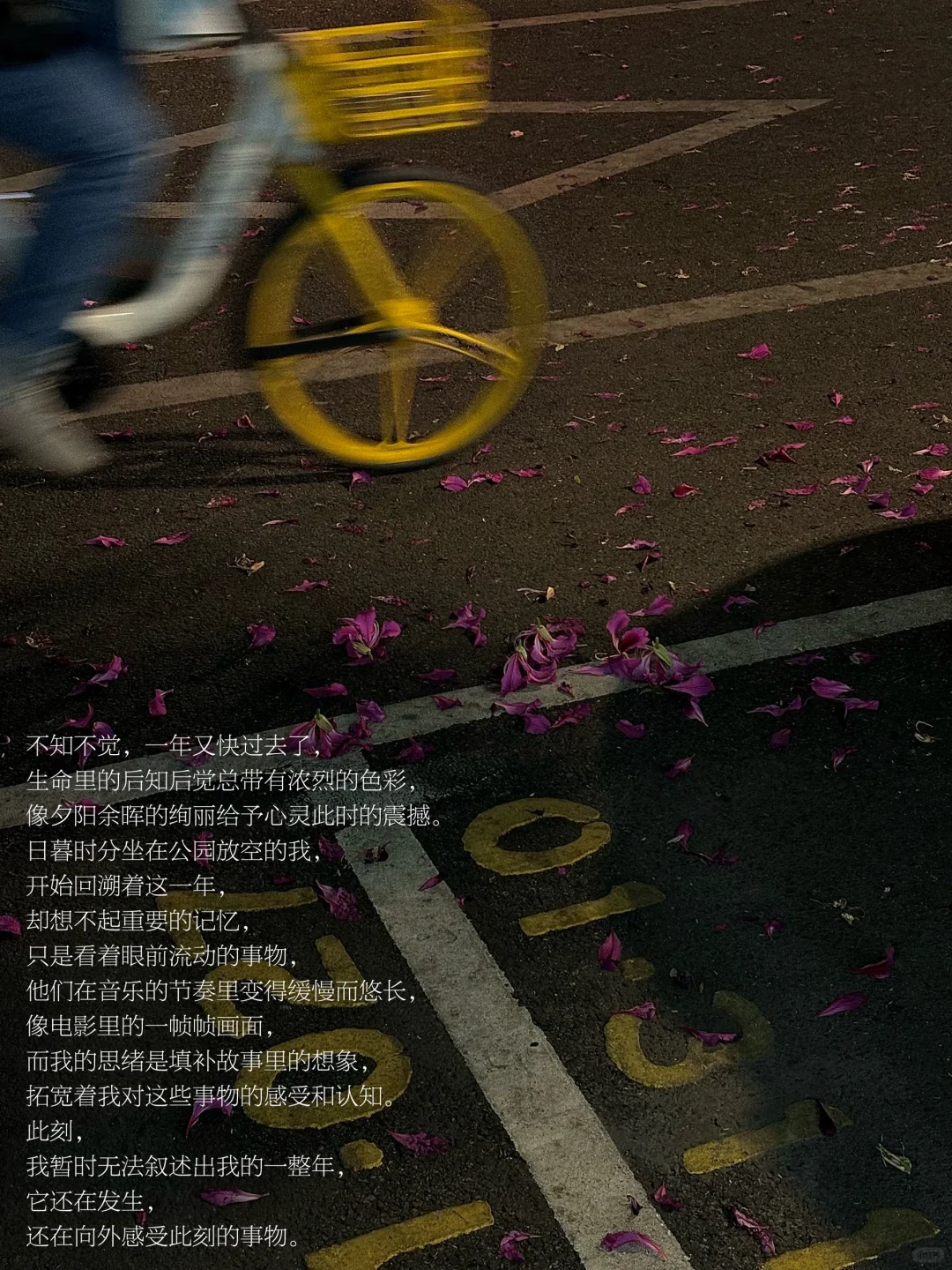 我在周末时刻逃离着「倍速」展开的生活