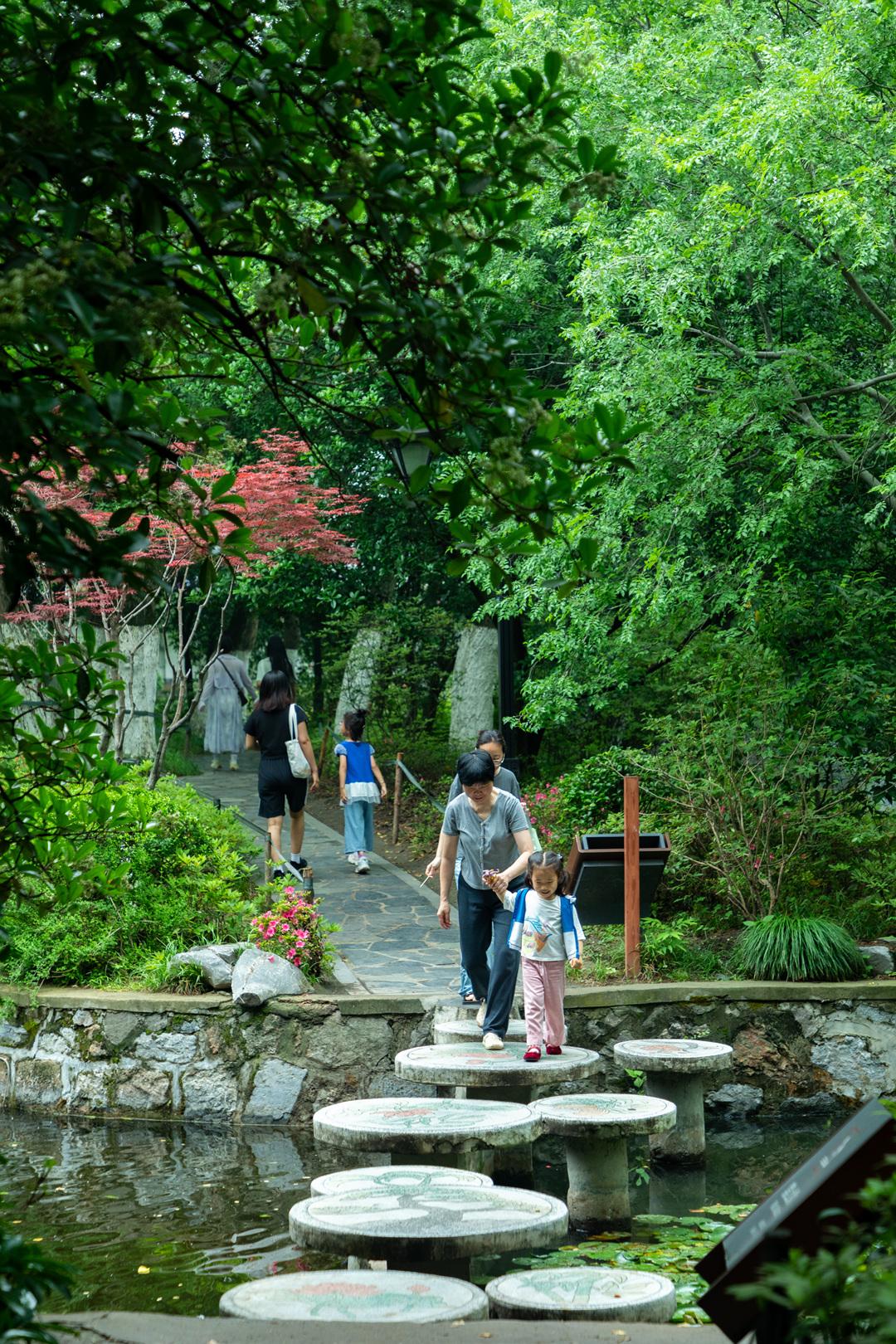 合肥人私藏的夏日乘凉宝地
参天古树遮烈日，湖边吹风散步，老合肥的夏日日常。