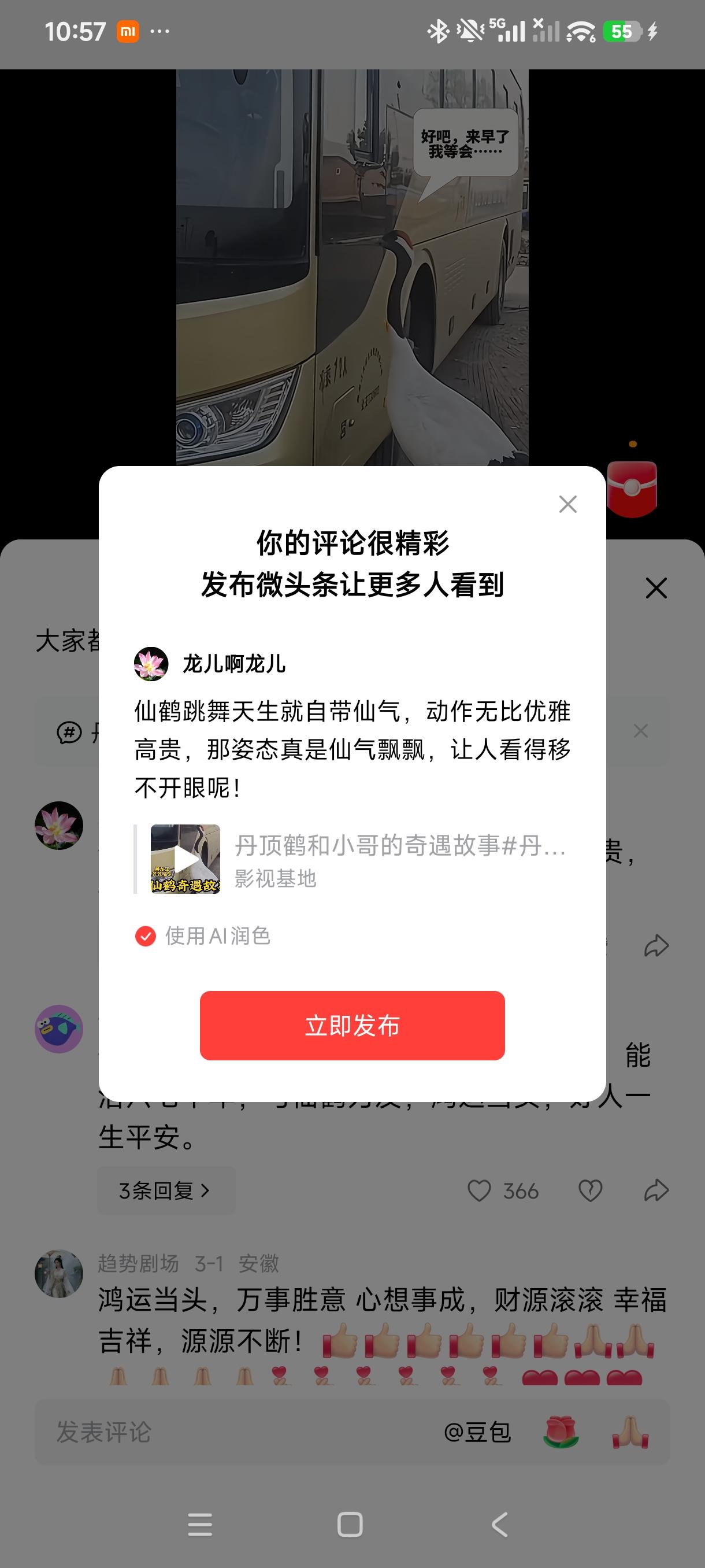 仙鹤跳舞天生就自带仙气，动作无比优雅高贵，那姿态真是仙气飘飘，让人看得移不开眼呢