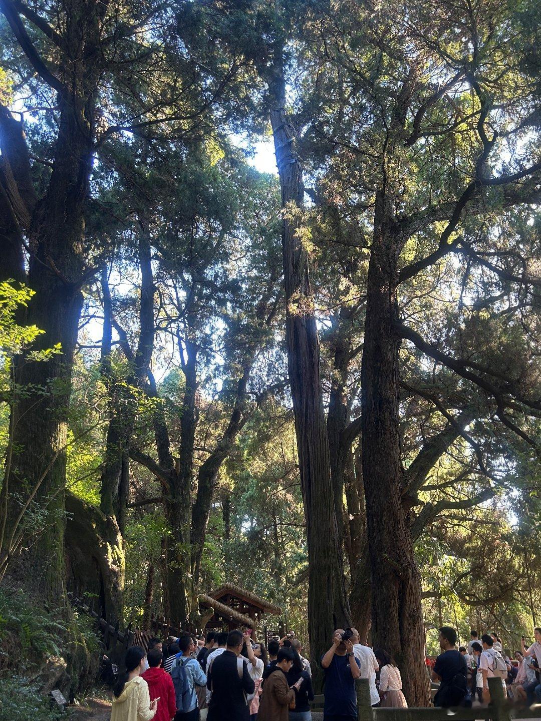 之前国家卫健委推了一个减重的政策，这个方向没有问题，但执行端，就有变化了，其实，