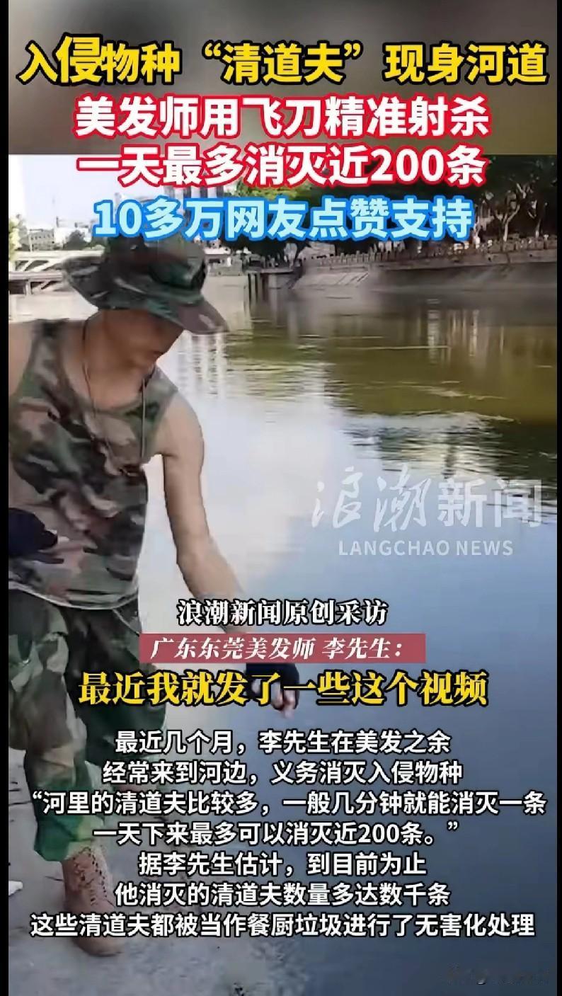 东莞美发师太牛了！飞刀切“清道夫”，一天灭200条入侵物种
 
谁懂啊！广东东莞