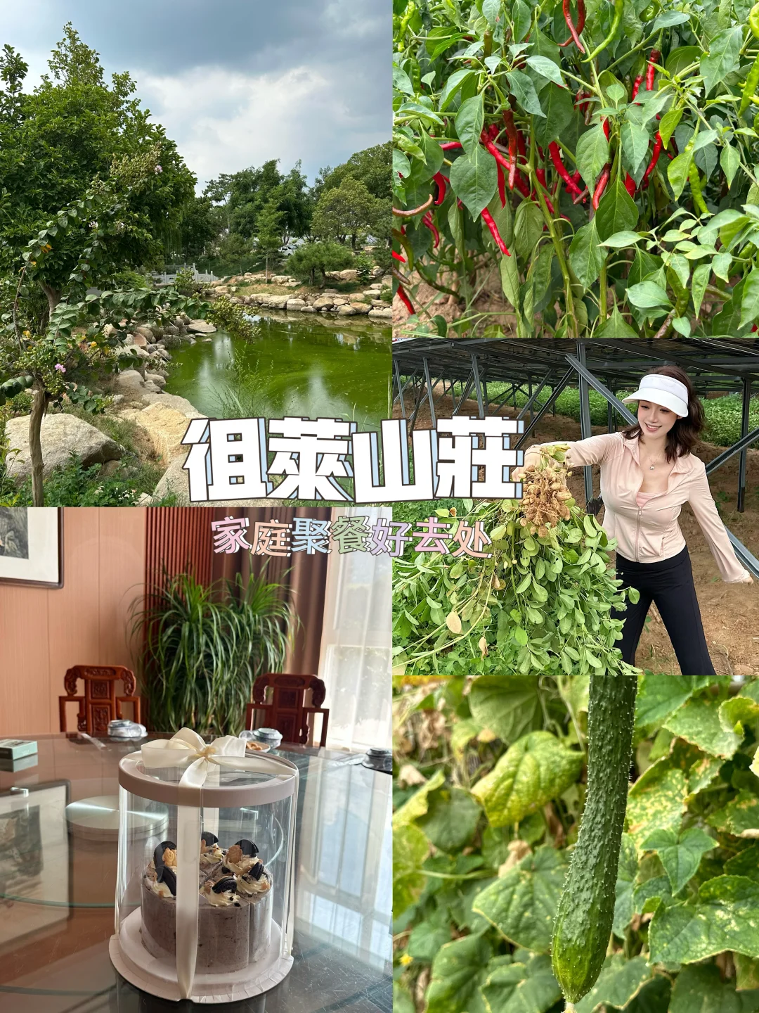 家庭聚会好去处！徂徕山庄⛰️