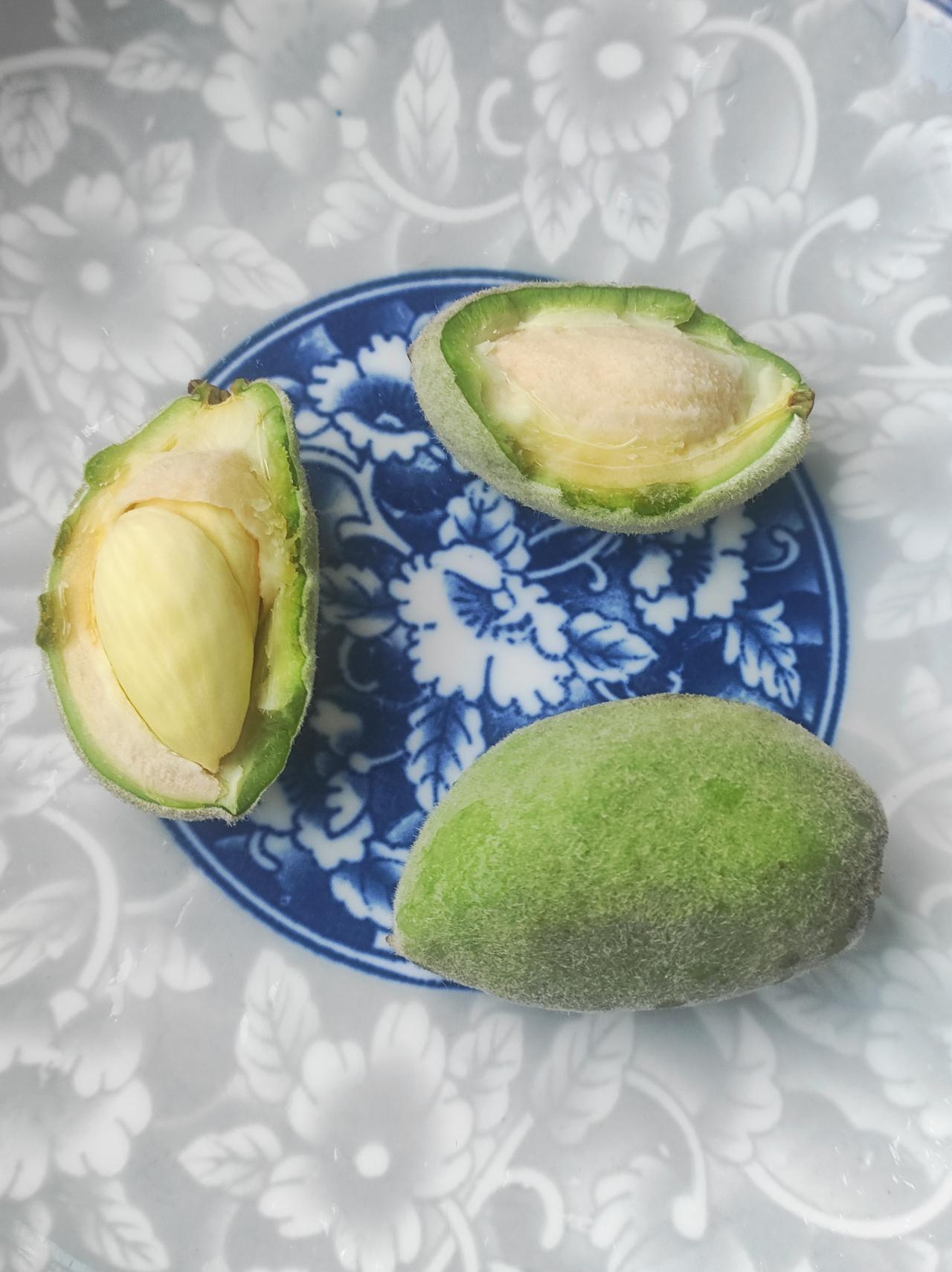 新鲜的巴旦木

最早接触巴旦木，叫美国大杏仁。春节才能吃到。后来听说是新疆产的，