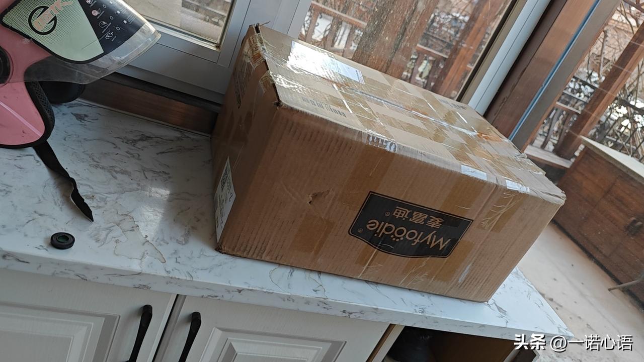 从孩子奴，到猫儿奴，现在的人是进化了，还是退化了？
不知从何时起，猫成了现代人的