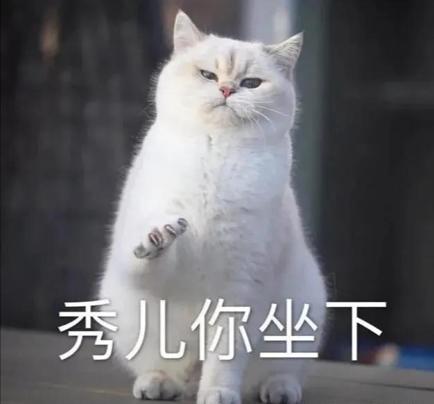 你发现没？
网络上卖惨的已经没有流量了，因为大多数人觉得自己过得更惨！没有资格再