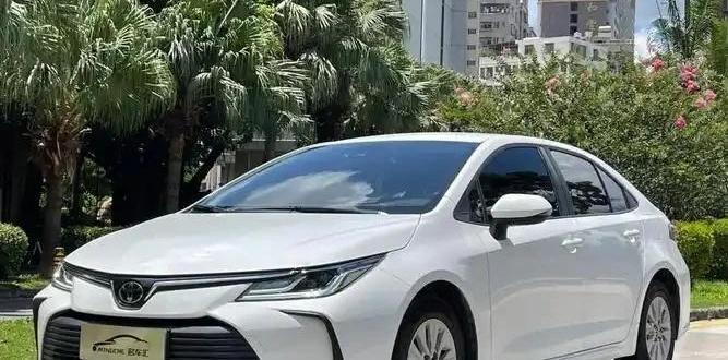买辆车开一辈子可能吗？全球有5700万人用真金白银投了票！今天咱们就来扒一扒那些