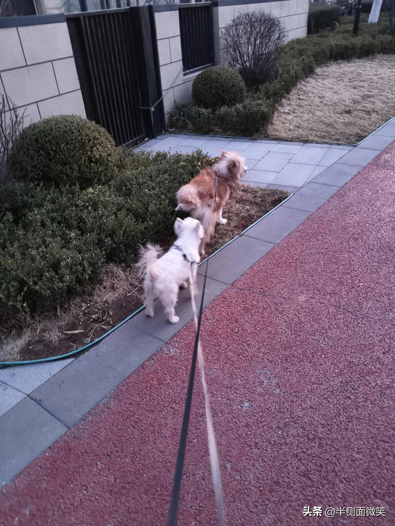 天空的样子你想象