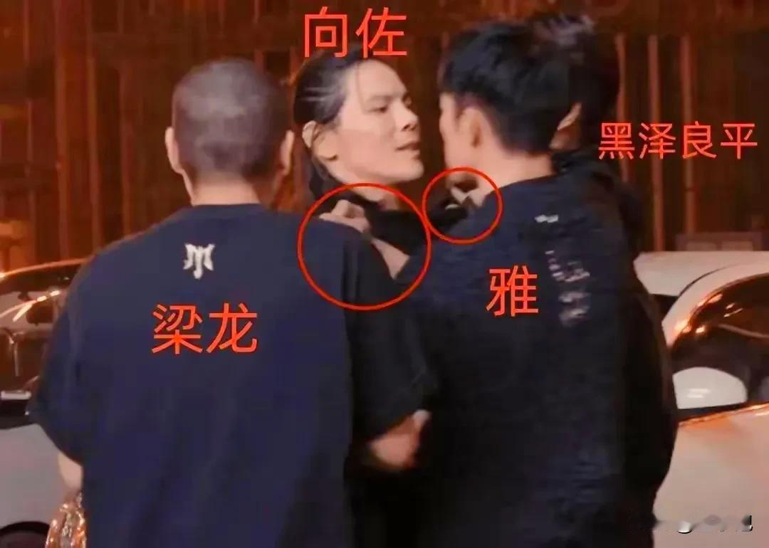 强哥、向太、郭碧婷在家是有多烦向佐，今年接连给向佐报了3个兴趣班，《无限超越》演