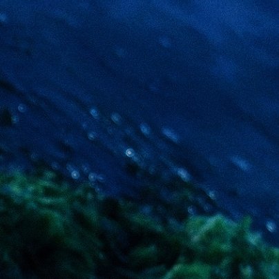 人生难免有低谷，就看你是否能给自己搭一个跳板；事业难免有不顺，就看你是否能给自己