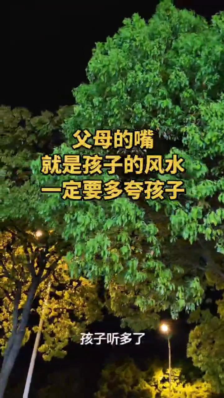 父母的嘴就是孩子的风水，一定要多夸孩子。
父母的嘴就是孩子的风水，你夸孩子是什么