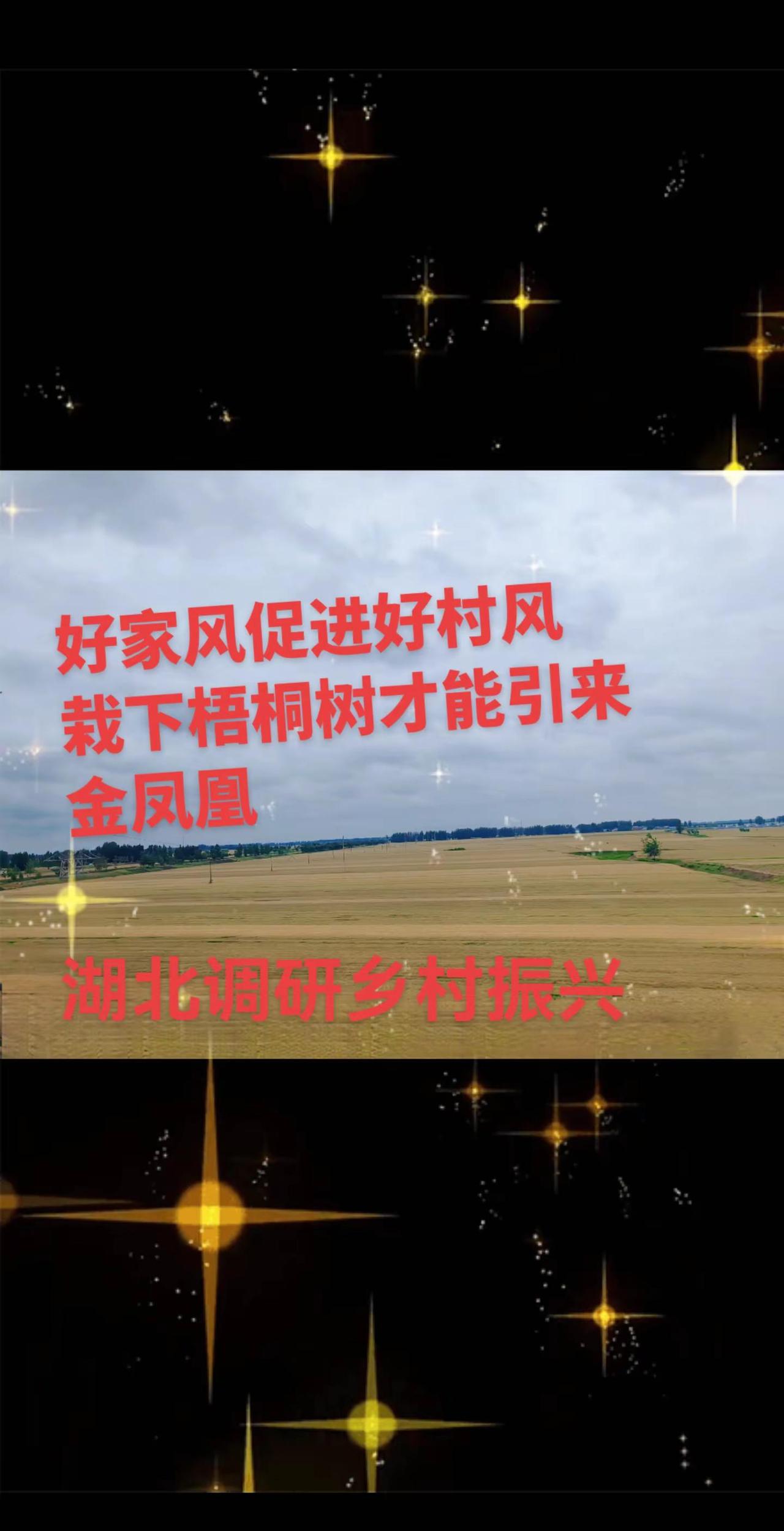 深入乡村一线开展调查研究