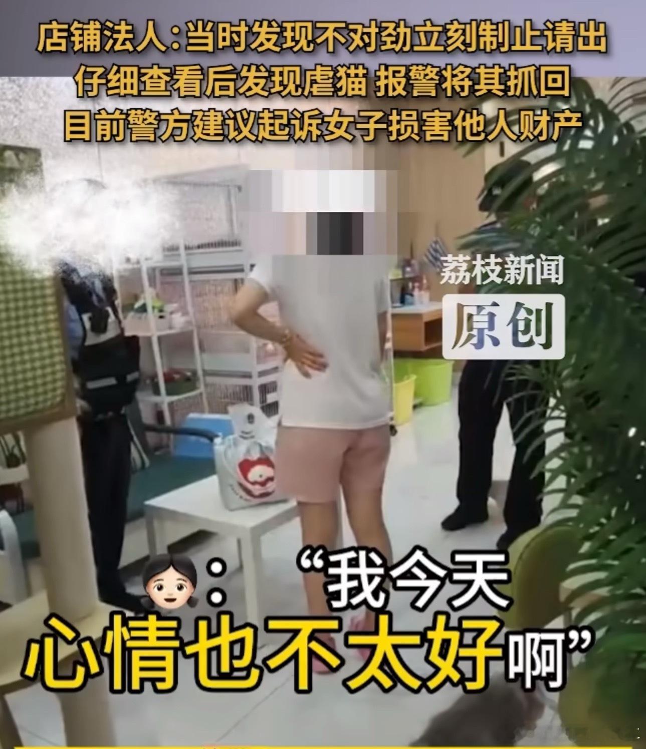 女子去猫咖包房虐猫致4只猫死伤虐死4只猫，还有几只猫在抢救，就因为她心情不好？？
