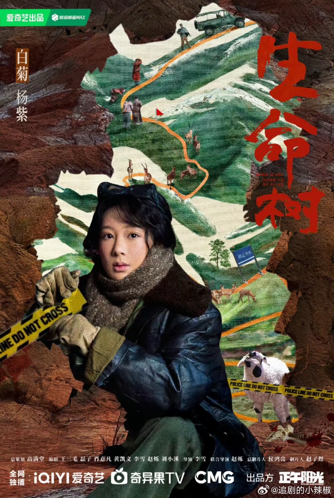 老天奶，杨紫粉丝这作图审美[泪奔]一流剧宣了 ​​​
