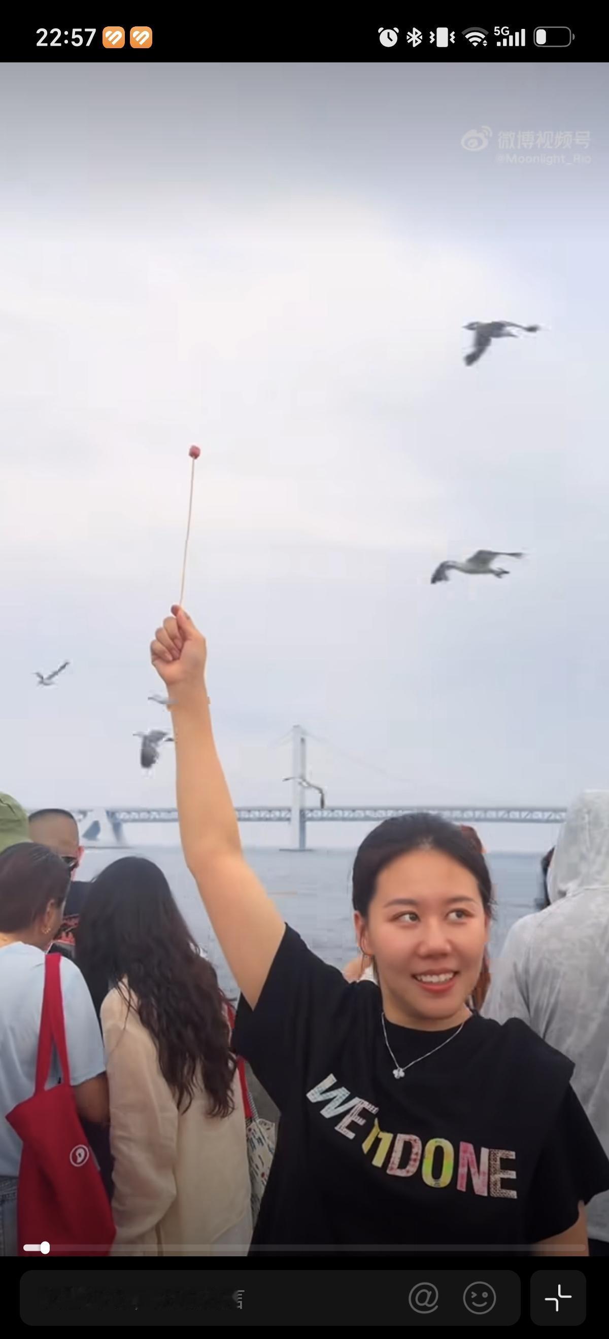 7月27日陈幸同喂海鸥，没想到签子都被一起调走了。陈幸同这惊讶的表情就知道，这里