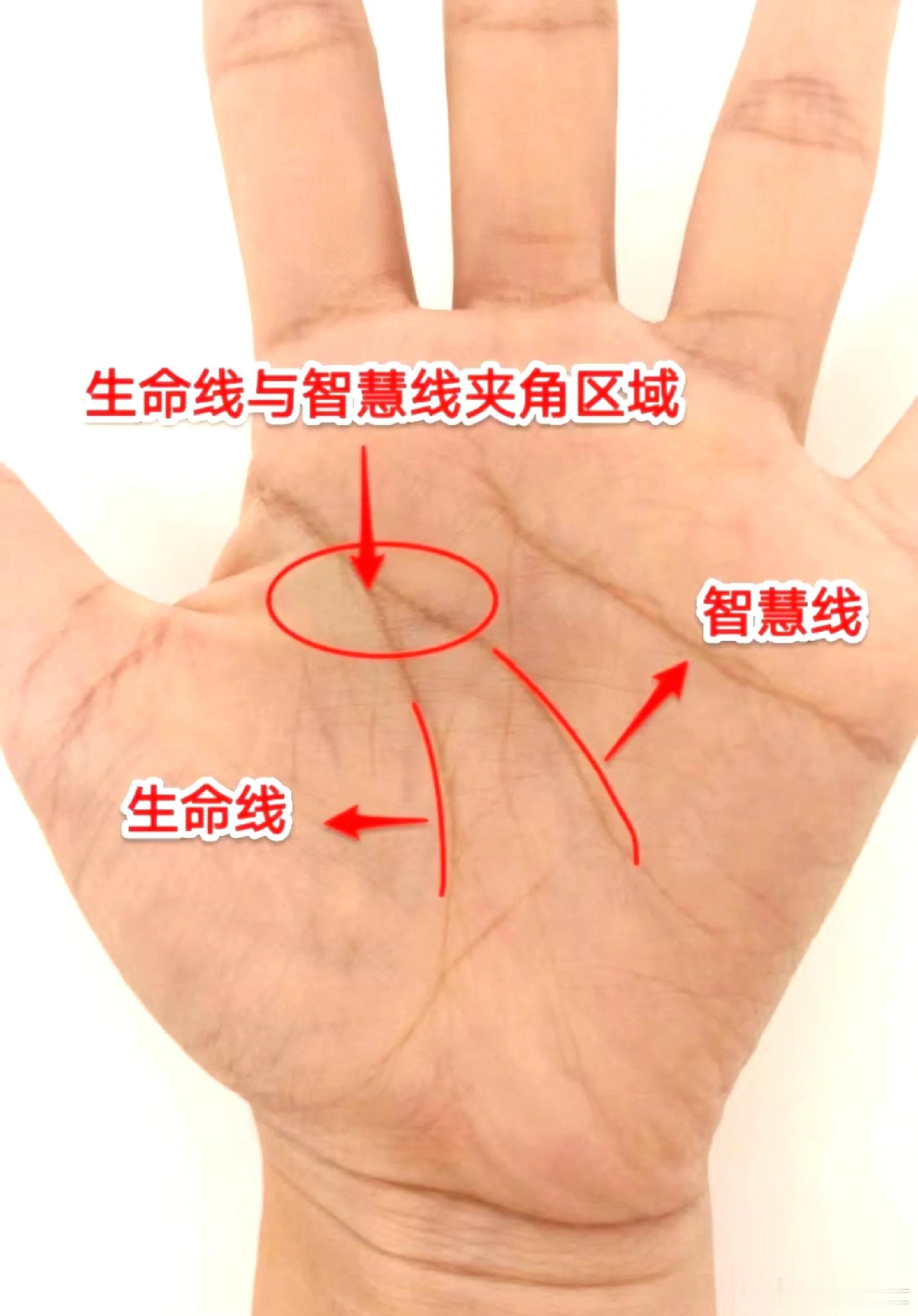 生命线的末端分叉多，生命线末端如果出现比较多的分叉，意味着往年的能量不枯竭。有这
