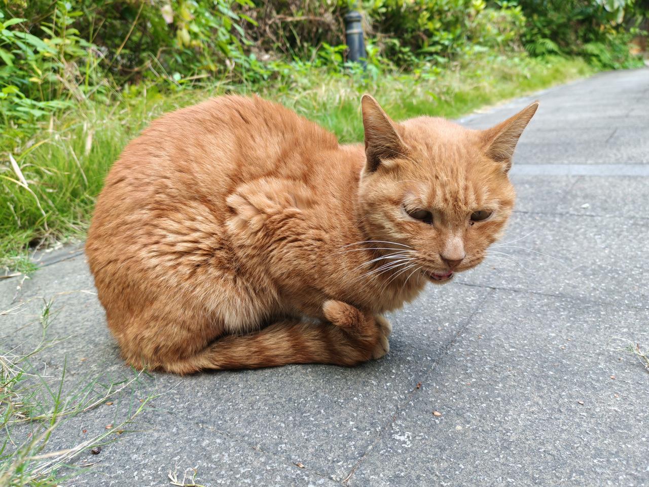 伊朗汇率崩盘，委内瑞拉总统被抓，国际地缘局势乱成一锅粥，开了个坏的先例，礼崩乐坏