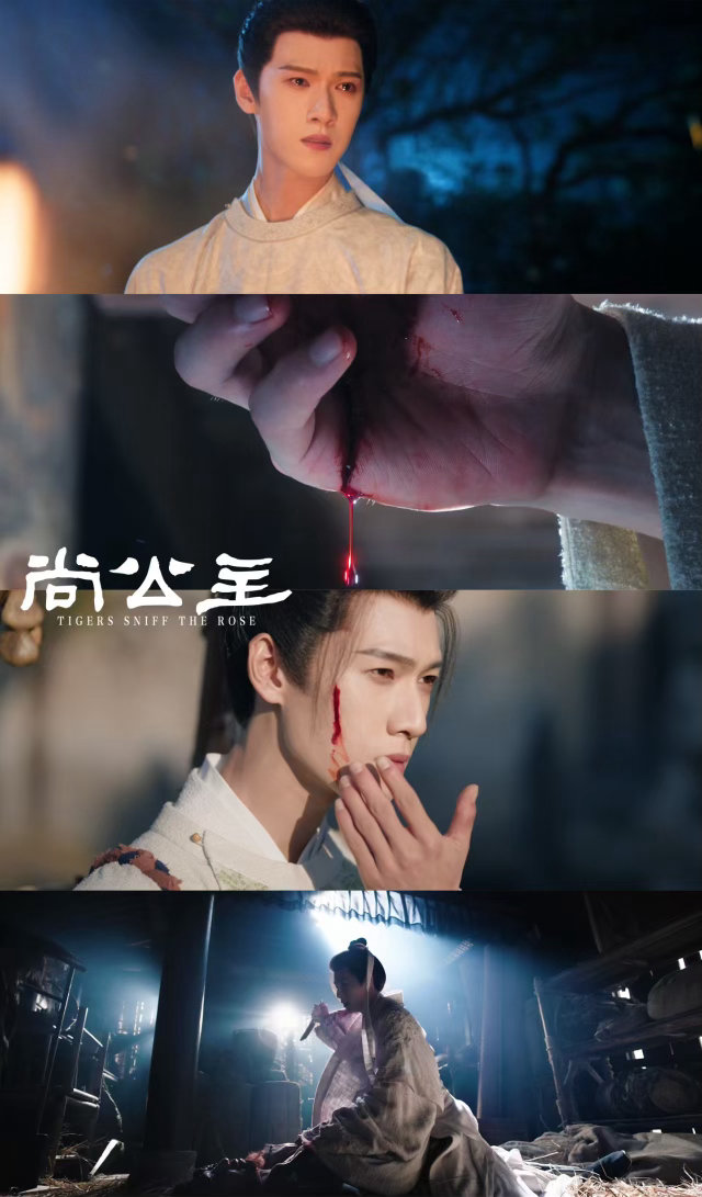 孟子义 尚公主好的坏的统统拍成疯的 打破古偶温柔套路，全员黑化狠戾，血染宫廷爱恨